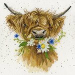 (image for) Daisy Coo